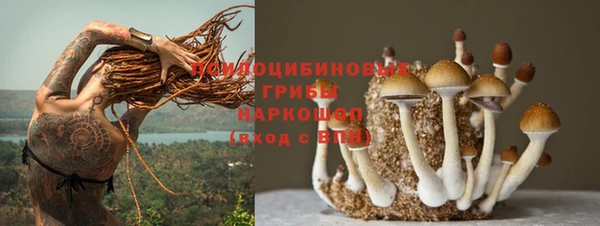 альфа пвп Армянск
