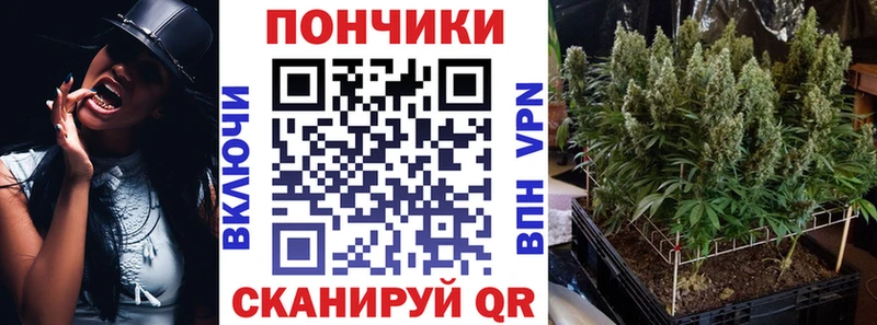 Бошки Шишки план  Дорогобуж 